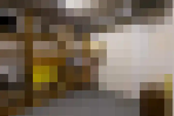 Kreitenmolenstraat 44 a Udenhout thumbnail 29