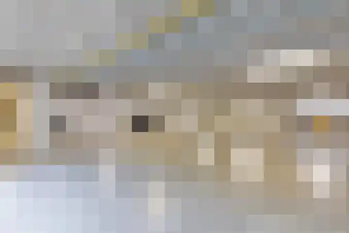 Kreitenmolenstraat 44 a Udenhout thumbnail 31