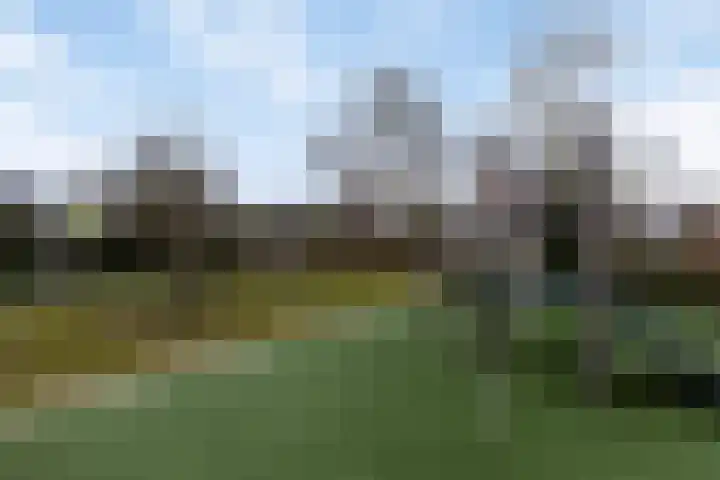 Kreitenmolenstraat 44 a Udenhout thumbnail 39