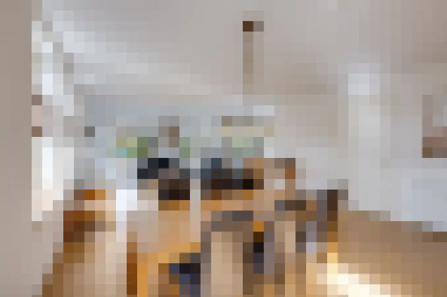 Kreitenmolenstraat 91 02 Udenhout thumbnail 21