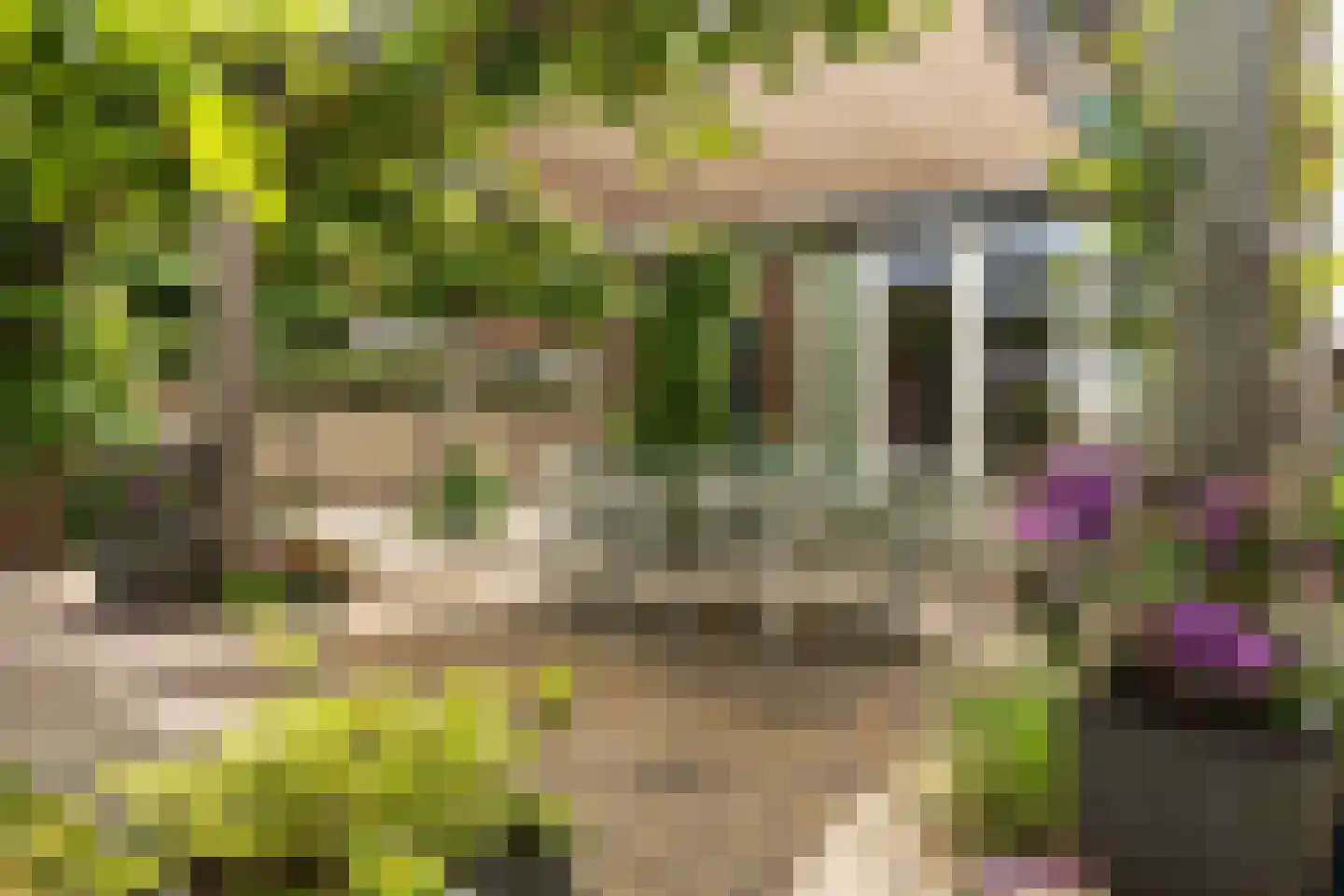 Kreitenmolenstraat 95 Udenhout thumbnail 49
