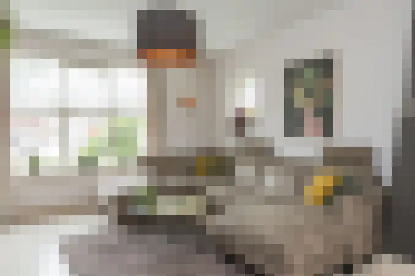 Kreitenmolenstraat 95 Udenhout thumbnail 8