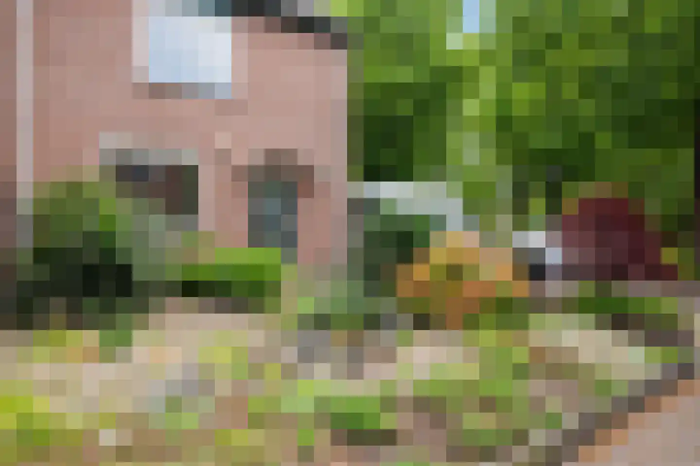Krekel 21 Soest thumbnail 28