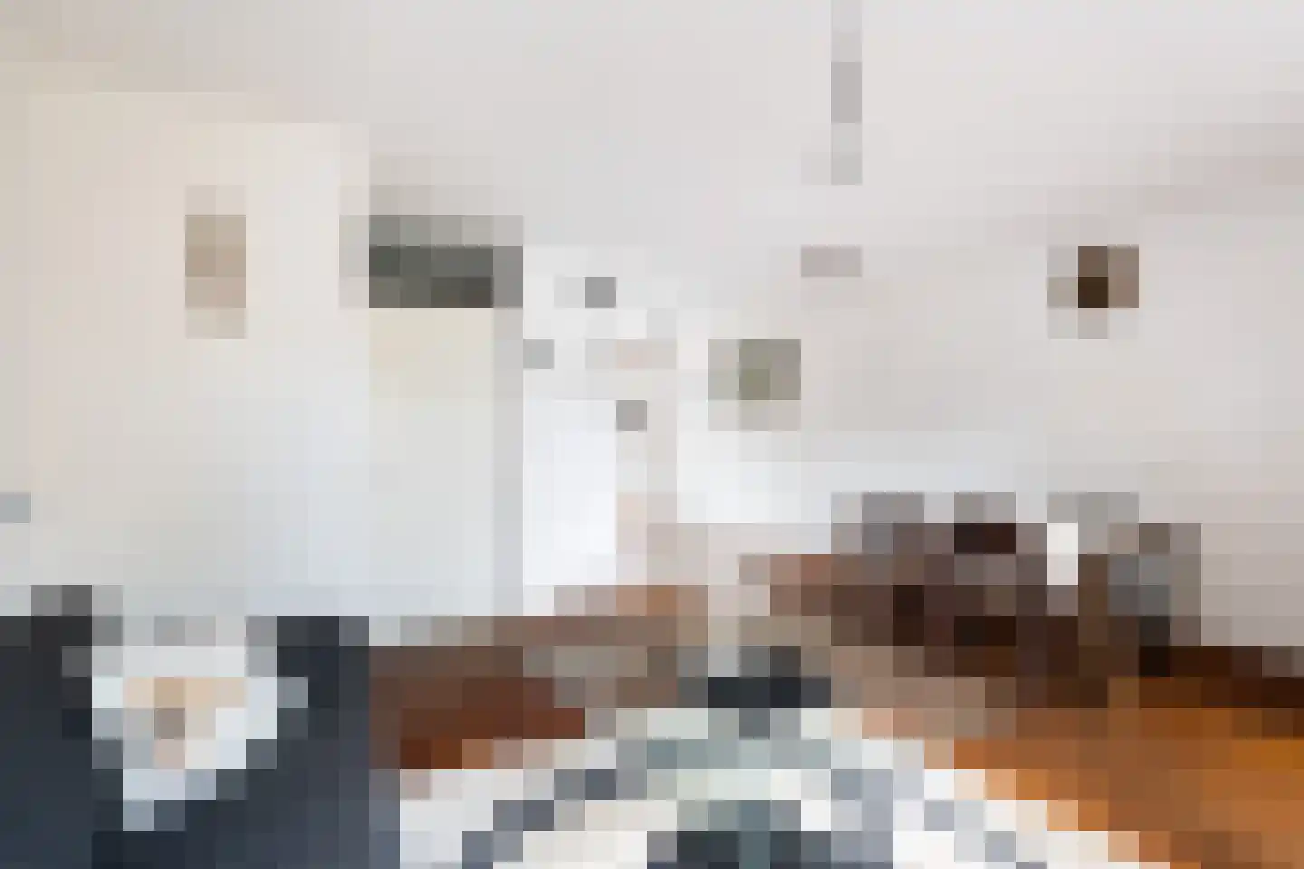 Krekel 21 Soest thumbnail 5
