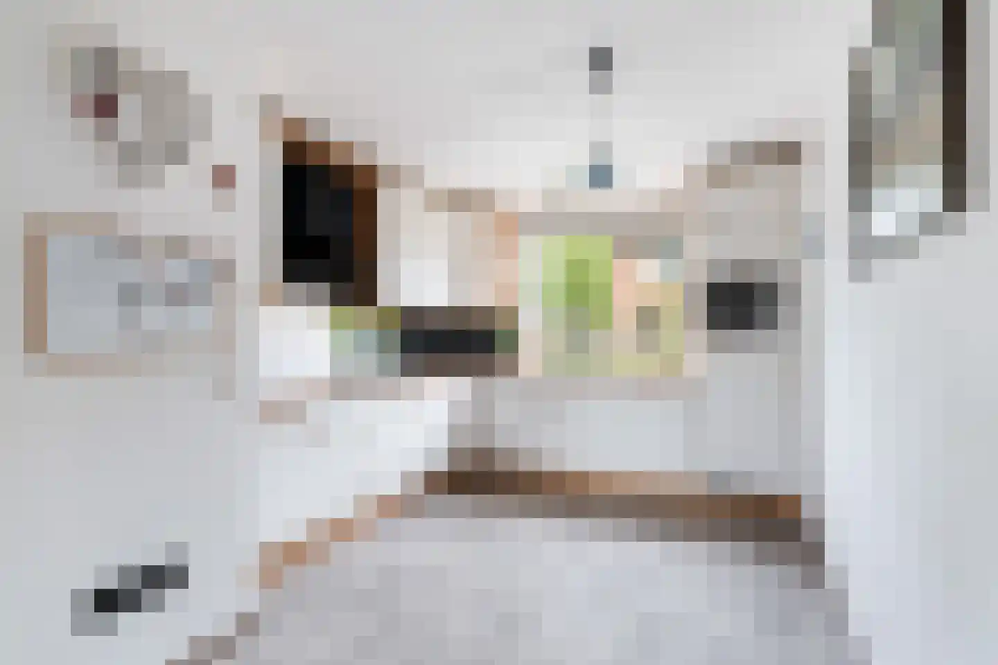 Krekel 21 Soest thumbnail 7