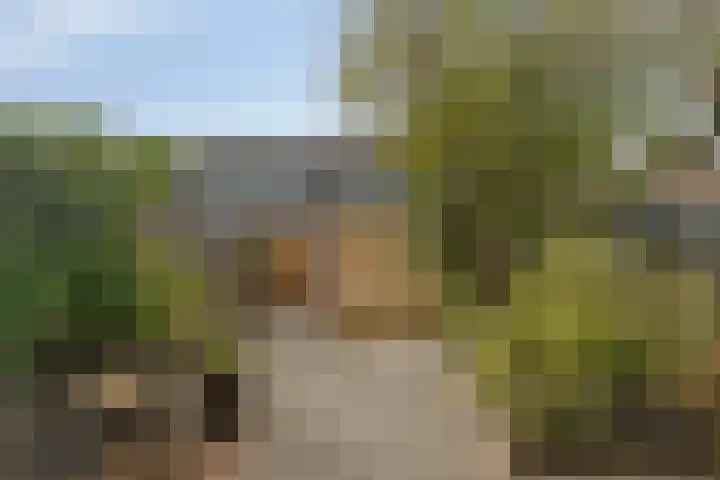 Krekel 22 Soest thumbnail 26