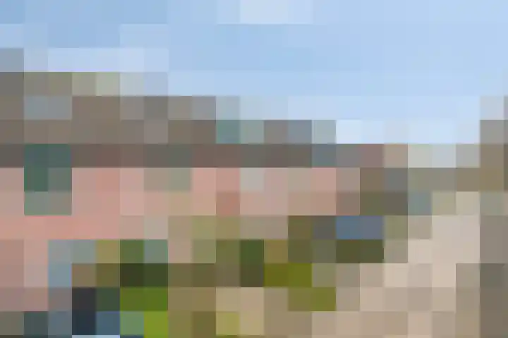 Krekel 22 Soest thumbnail 30