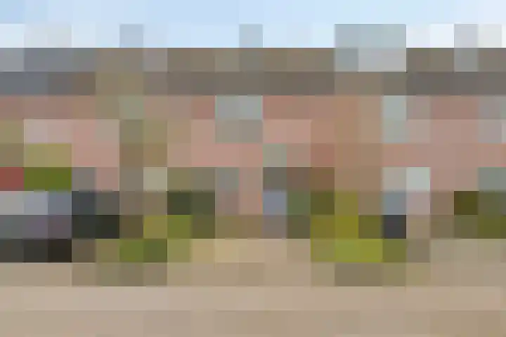 Krekel 22 Soest thumbnail 31