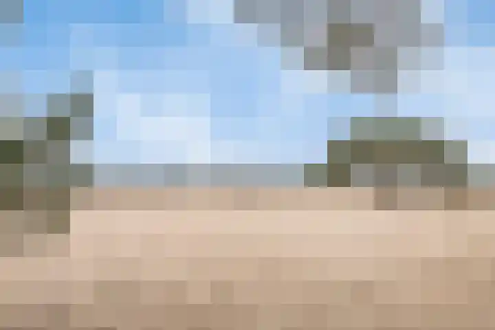 Krekel 22 Soest thumbnail 34