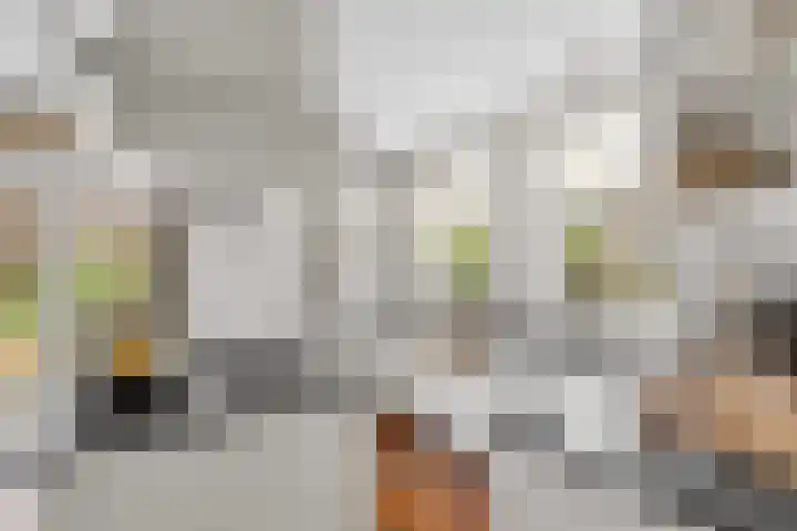 Krekelberg 114 Roosendaal thumbnail 12