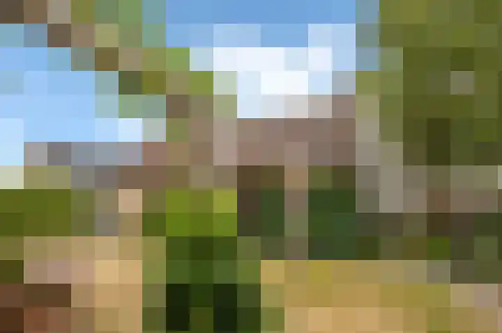 Krekelberg 114 Roosendaal thumbnail 38