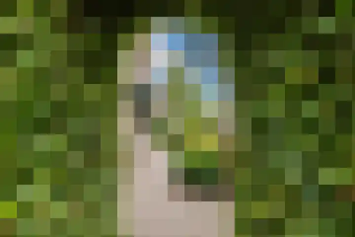 Krekelberg 114 Roosendaal thumbnail 47