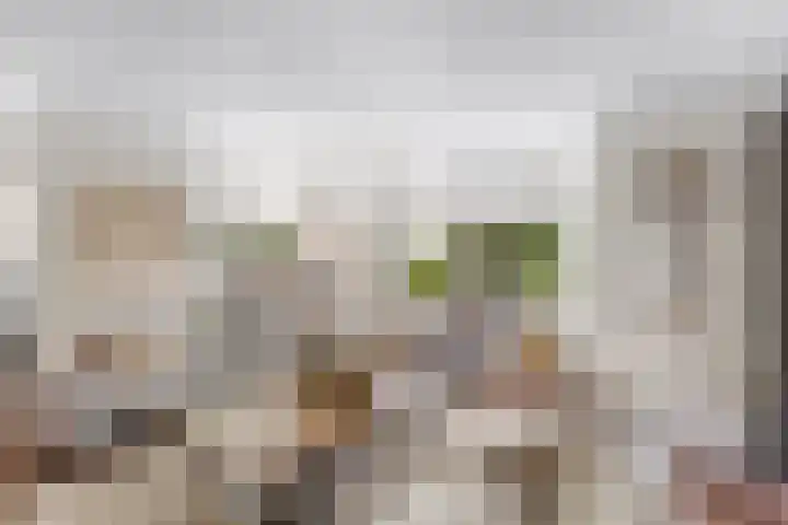Krekelberg 114 Roosendaal thumbnail 5