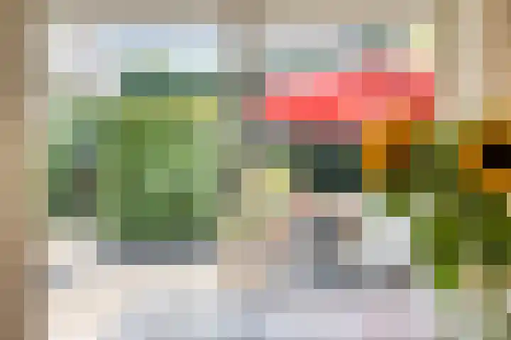Krekelberg 4 Melick thumbnail 12
