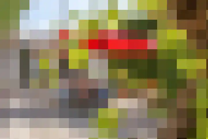 Krekelberg 4 Melick thumbnail 30