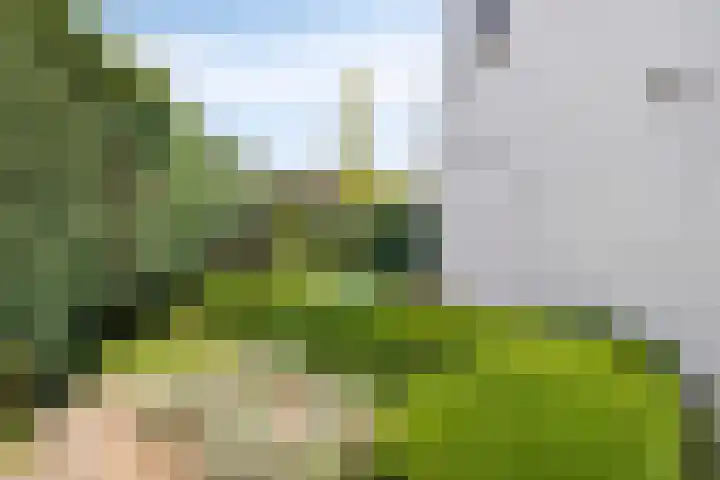 Krekelberg 4 Melick thumbnail 31