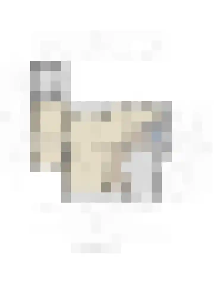 Krekelberg 4 Melick thumbnail 37