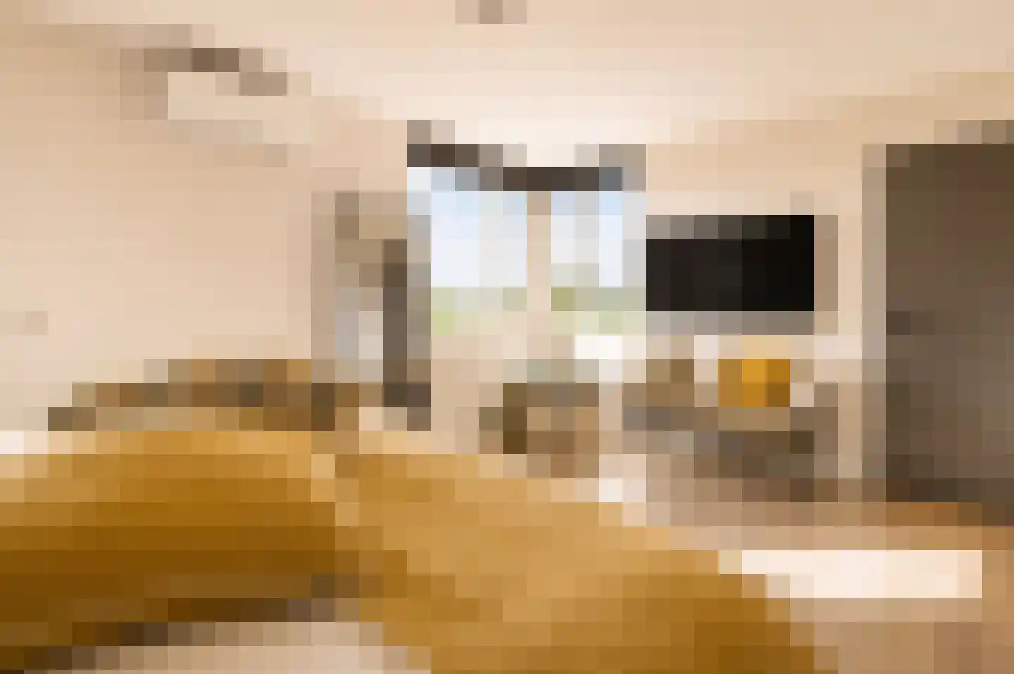 Krekelberg 92 Roosendaal thumbnail 19