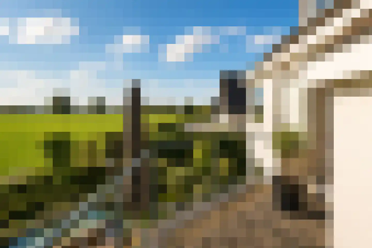 Krekelberg 92 Roosendaal thumbnail 20