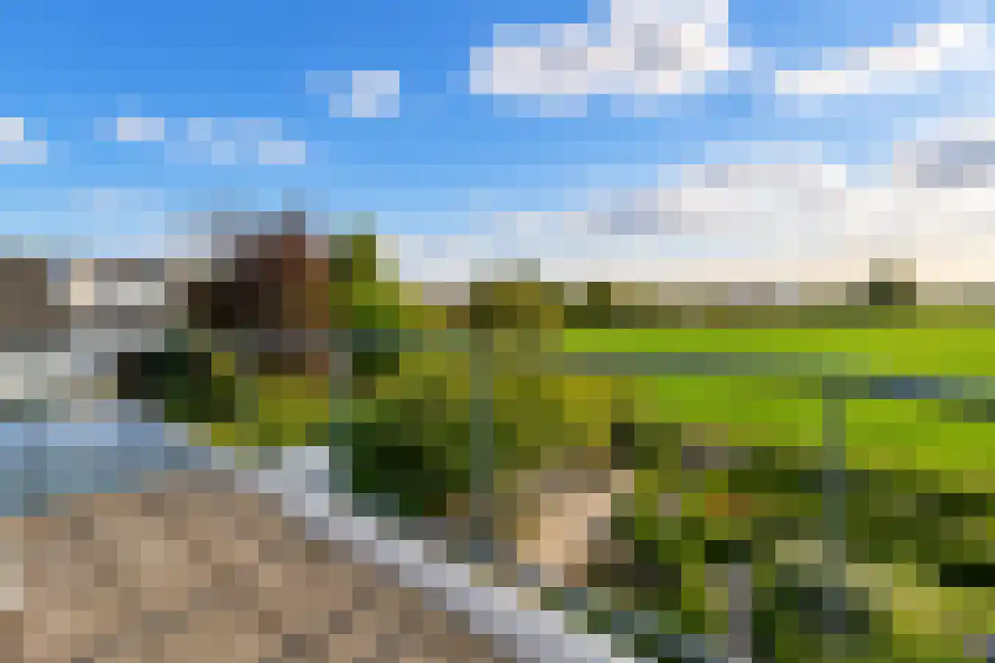 Krekelberg 92 Roosendaal thumbnail 21