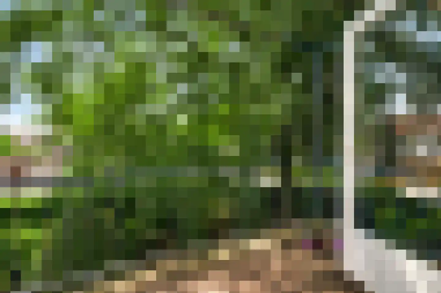 Krekelbergerweg 19 Oirsbeek thumbnail 12