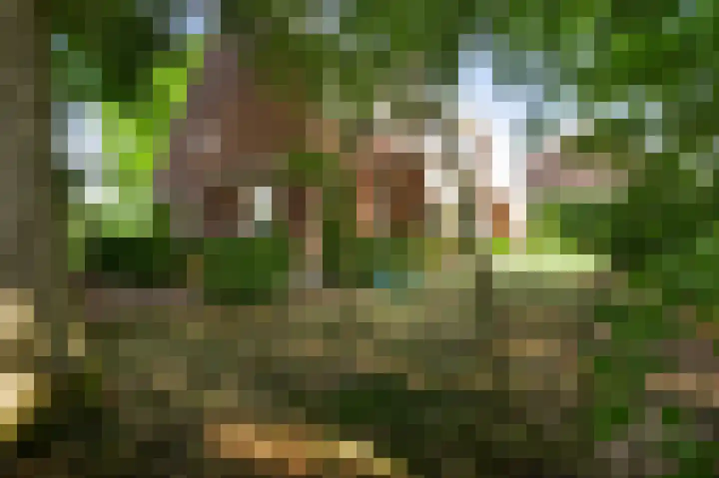 Krekelbergerweg 19 Oirsbeek thumbnail 19