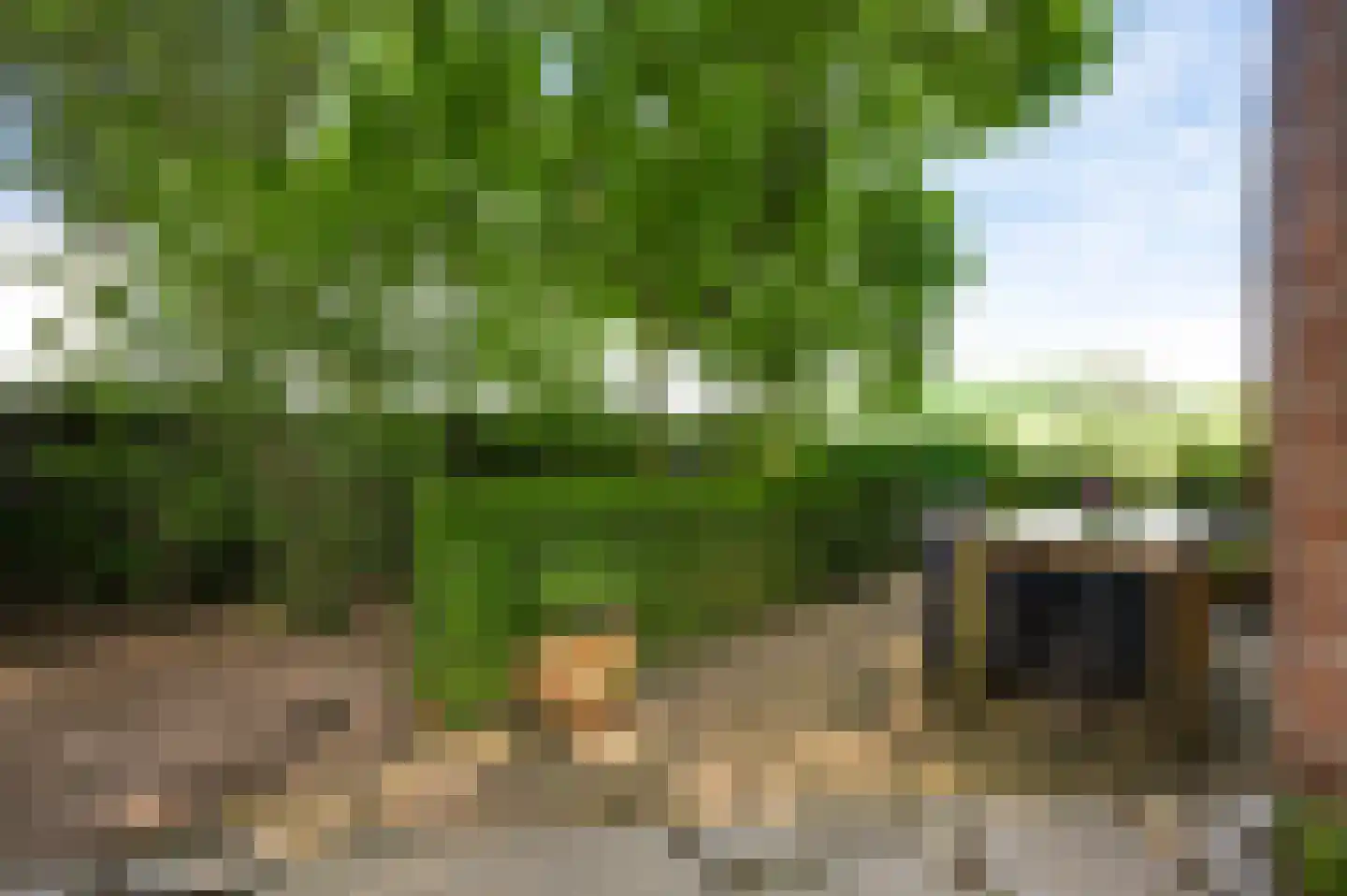 Krekelbergerweg 19 Oirsbeek thumbnail 20