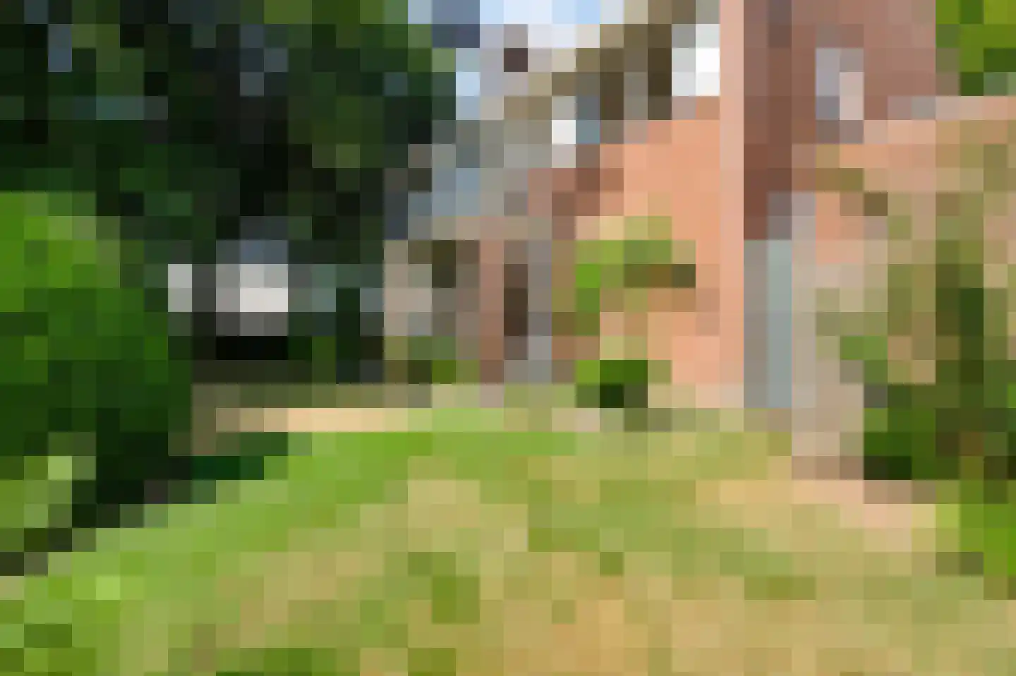 Krekelbergerweg 19 Oirsbeek thumbnail 22