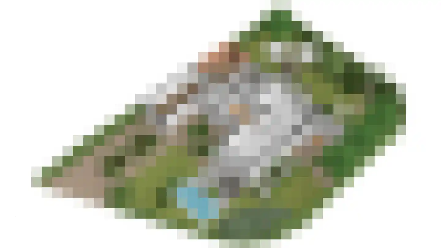 Krekelbergerweg 19 Oirsbeek thumbnail 26