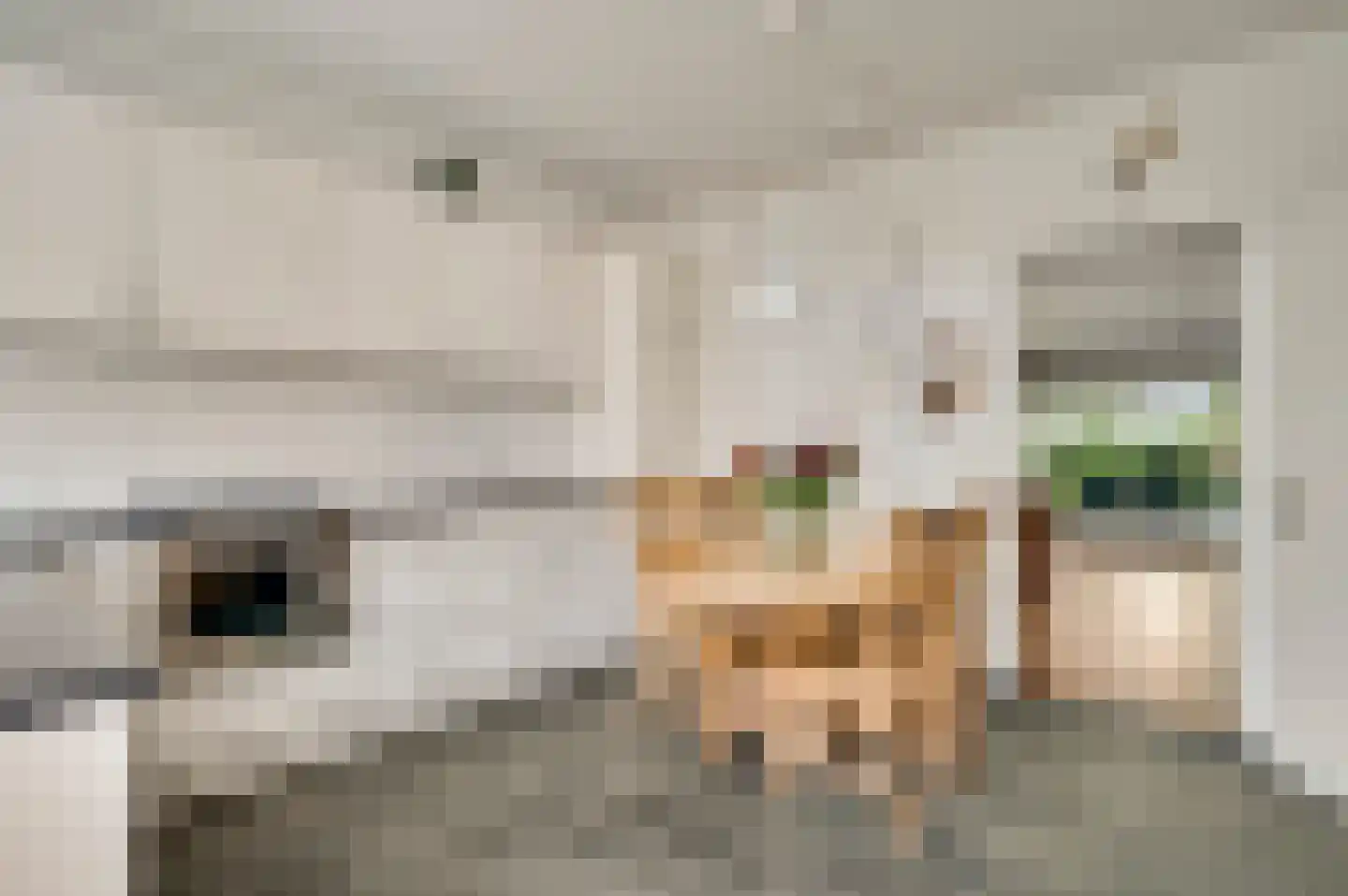 Krekelbergerweg 19 Oirsbeek thumbnail 8