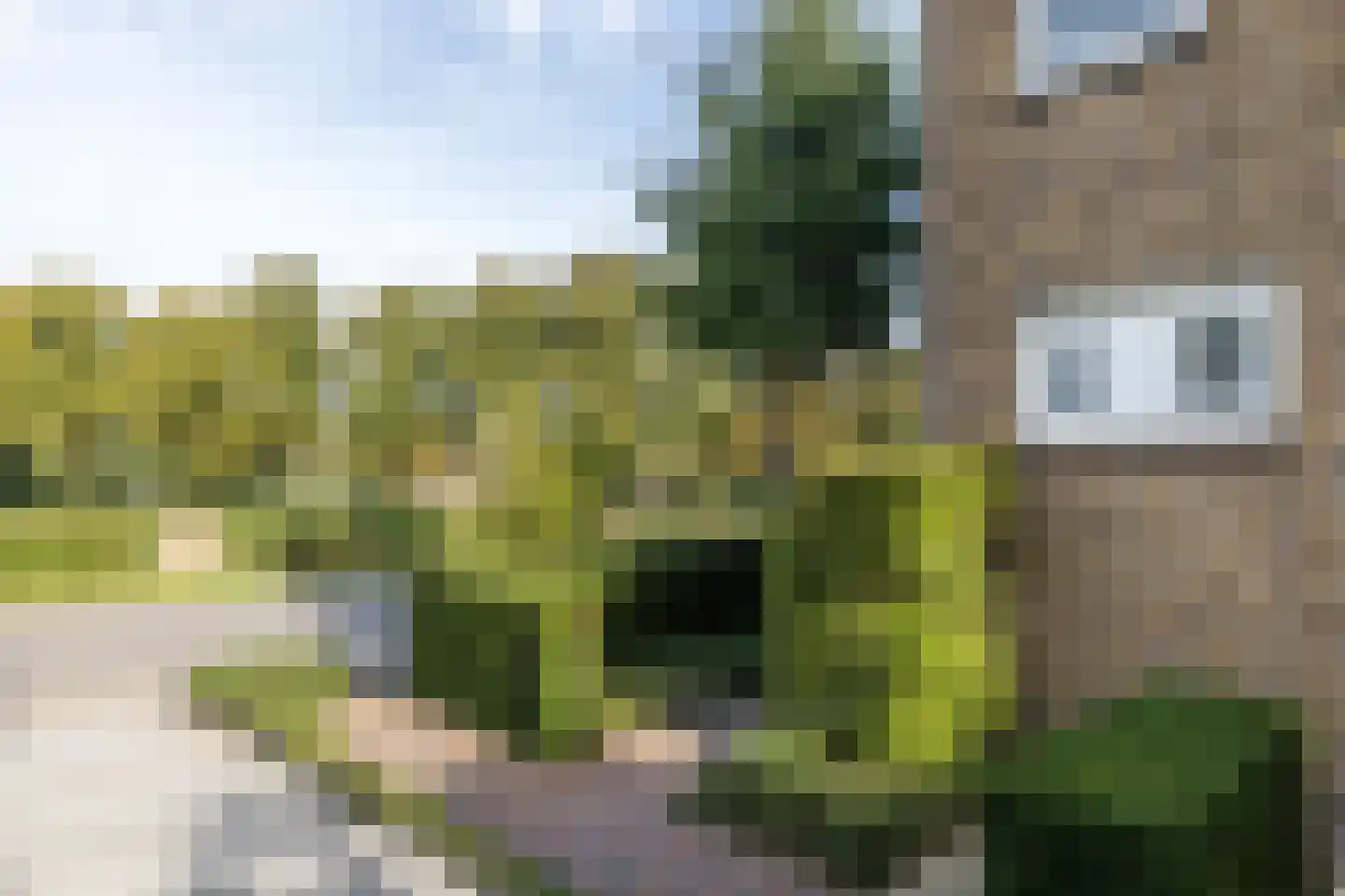 Krekelbergerweg 9 Oirsbeek thumbnail 37