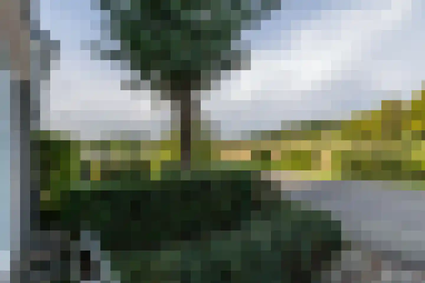 Krekelbergerweg 9 Oirsbeek thumbnail 39
