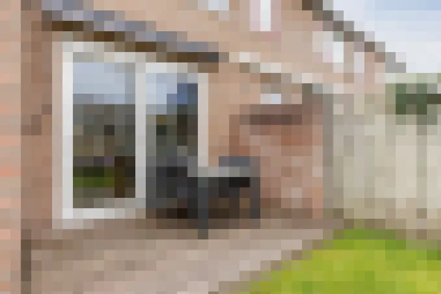 Krekelhorst 17 Rijen thumbnail 14