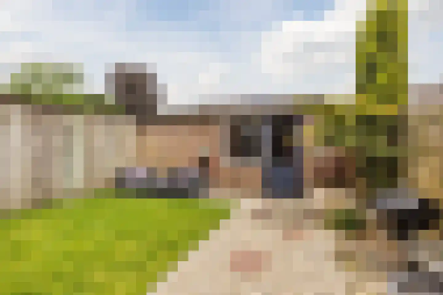 Krekelhorst 17 Rijen thumbnail 15