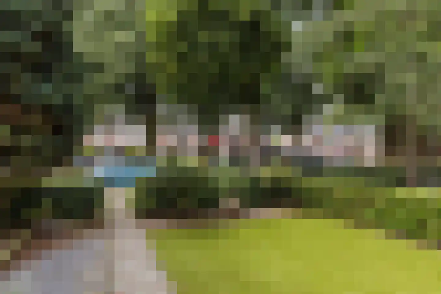 Krekelhorst 17 Rijen thumbnail 30
