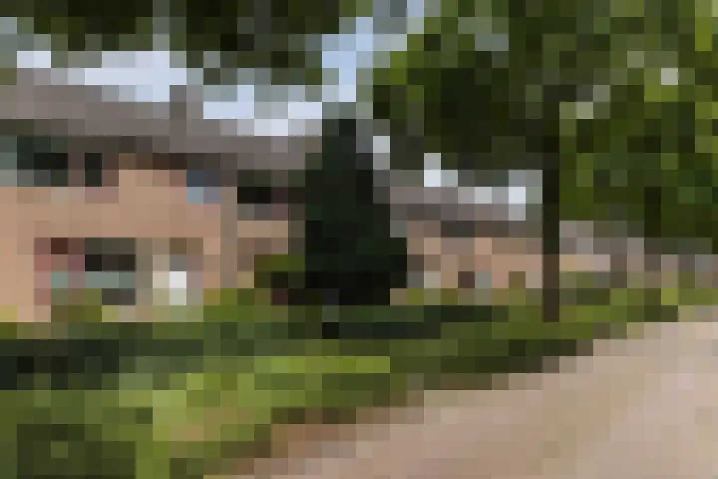 Krekelhorst 17 Rijen thumbnail 31