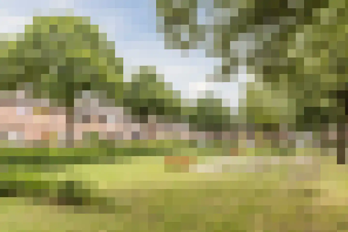 Krekelhorst 17 Rijen thumbnail 36
