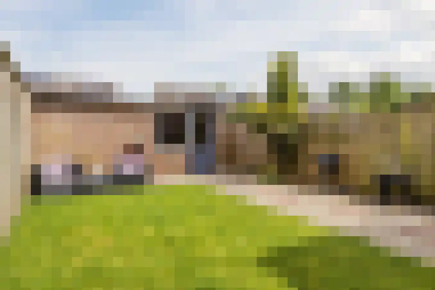 Krekelhorst 17 Rijen thumbnail 4