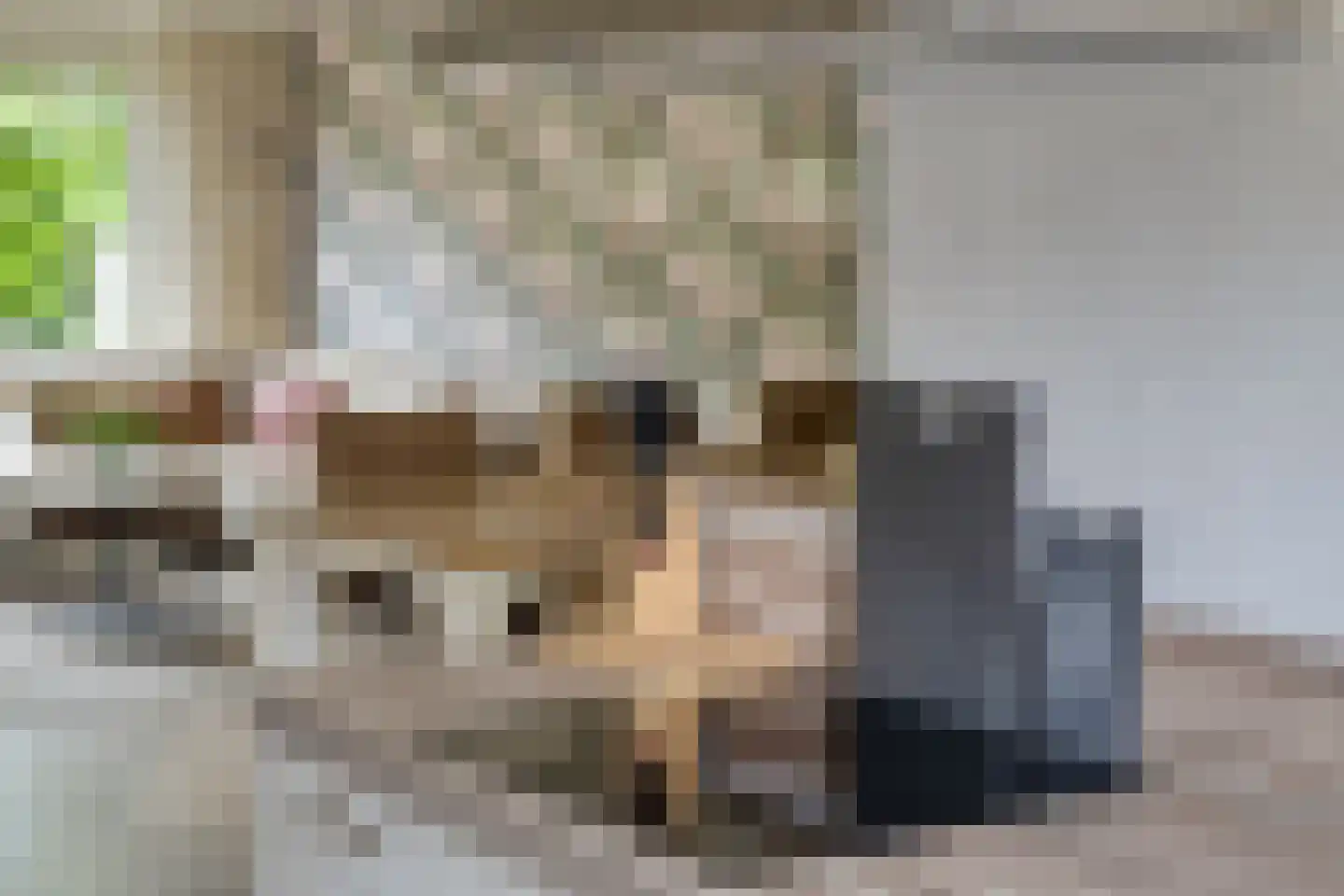 Krekelkleuven 15 Assen thumbnail 11