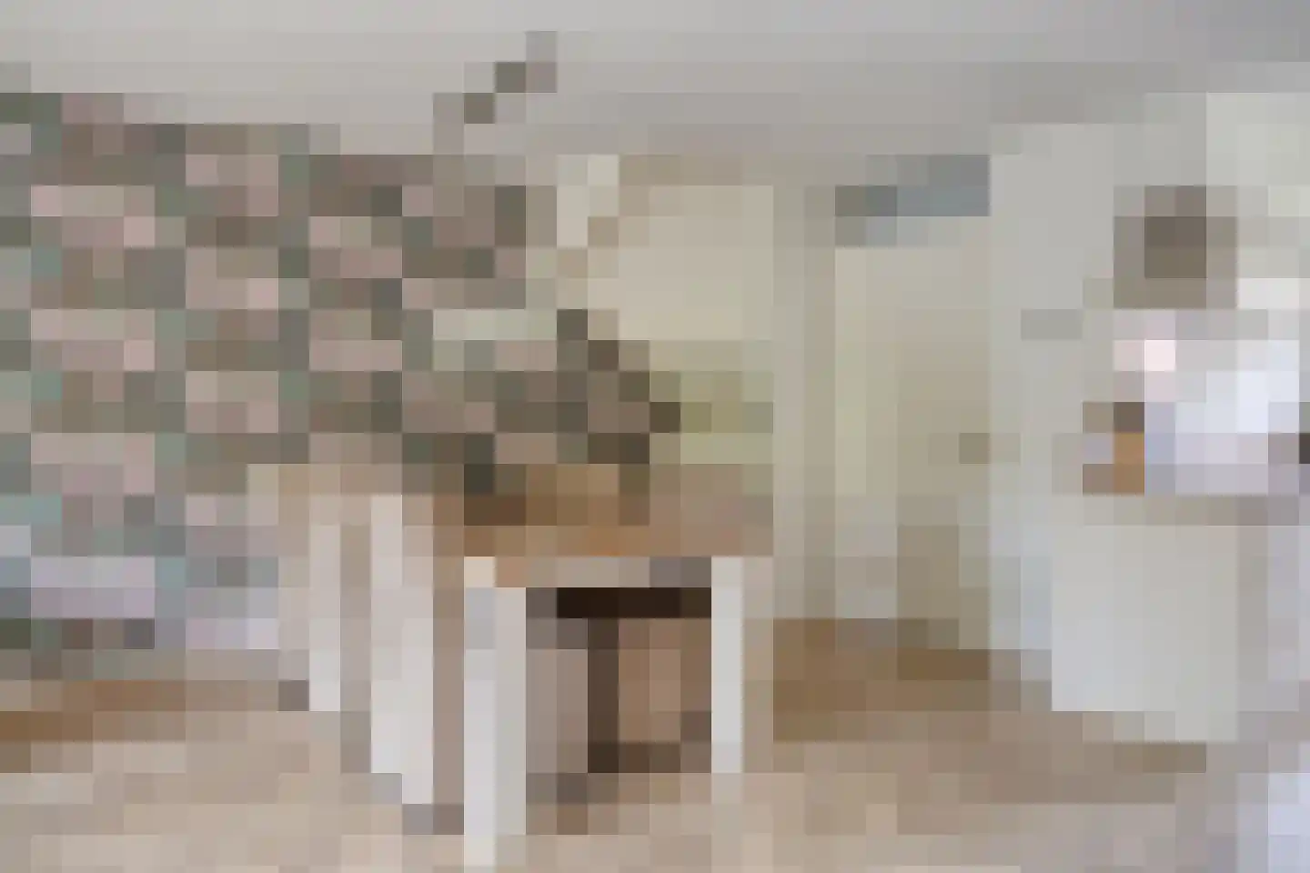 Krekelkleuven 15 Assen thumbnail 23