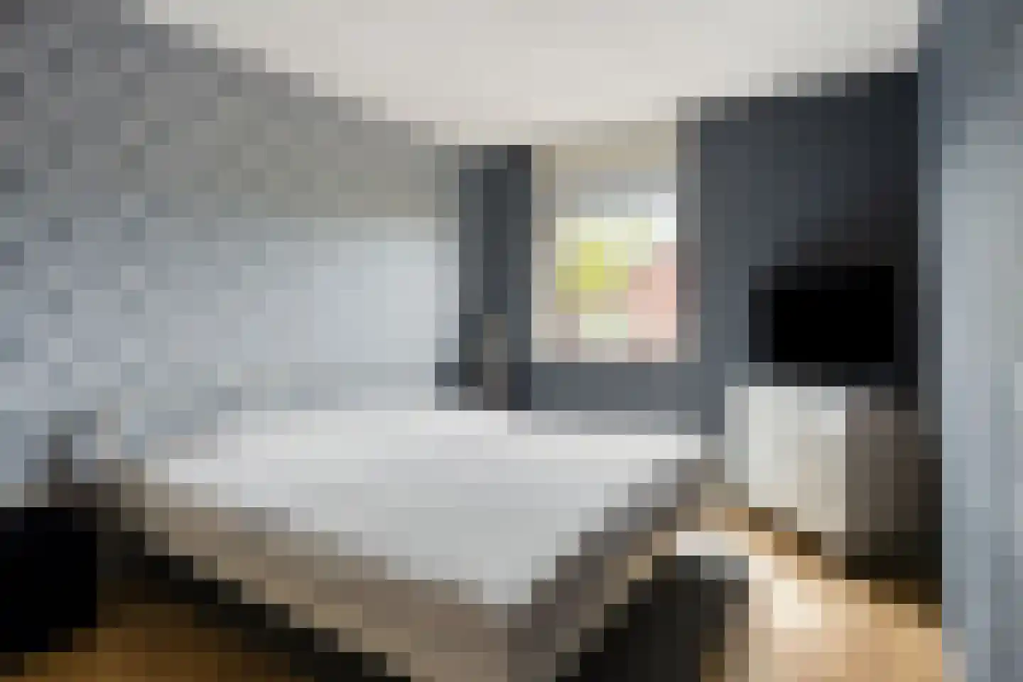 Krekelkleuven 15 Assen thumbnail 29