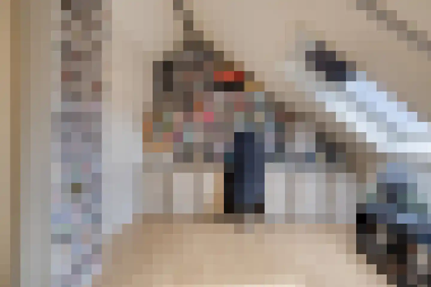 Krekelkleuven 15 Assen thumbnail 34