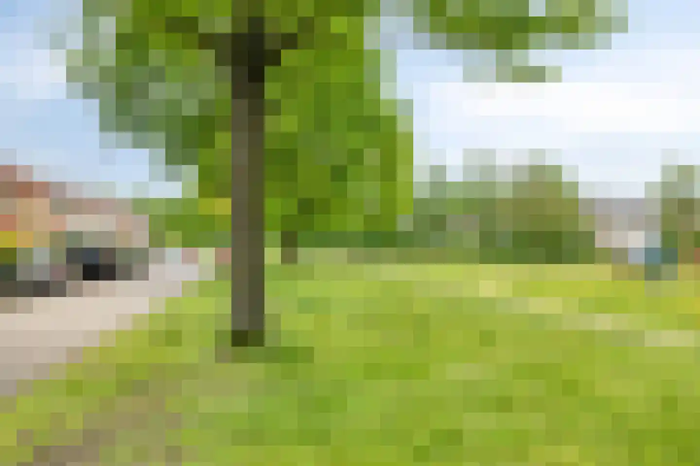 Krekelkleuven 15 Assen thumbnail 50