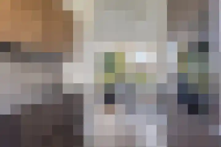 Krekelkleuven 17 Assen thumbnail 11