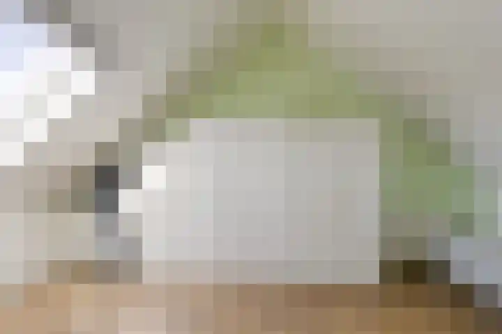 Krekelkleuven 17 Assen thumbnail 20