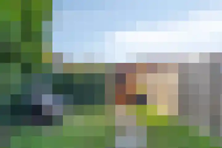 Krekelkleuven 17 Assen thumbnail 25
