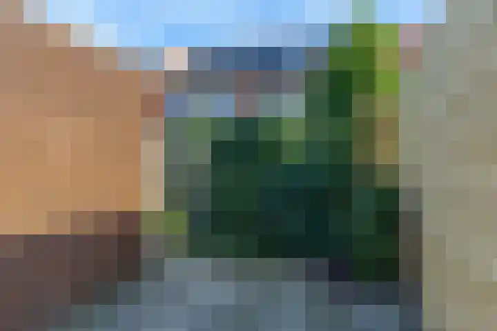 Krekelkleuven 17 Assen thumbnail 27