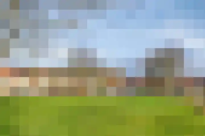 Krekelkleuven 17 Assen thumbnail 32
