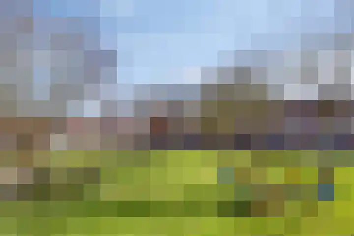 Krekelkleuven 17 Assen thumbnail 33