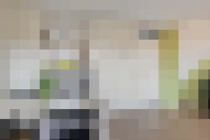 Krekelkleuven 17 Assen thumbnail 7